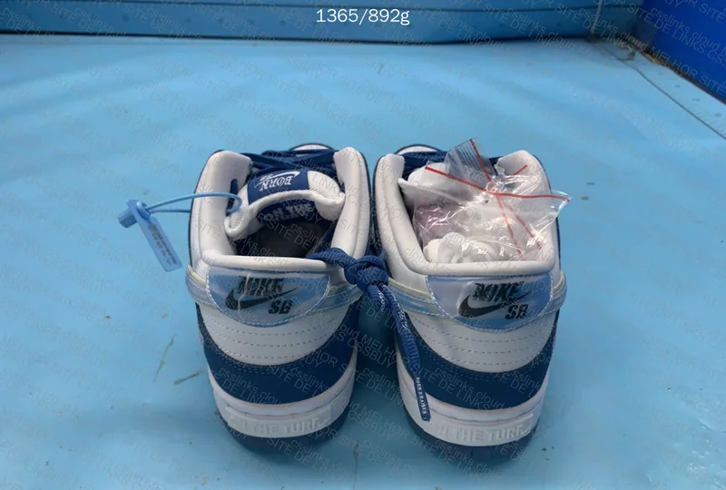 NIKE DUNK BORN RISED 4