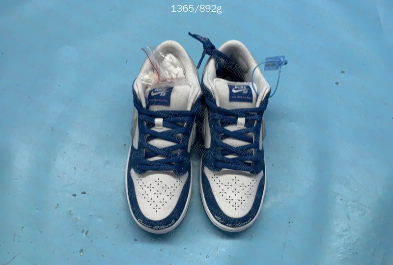 NIKE DUNK BORN RISED 5
