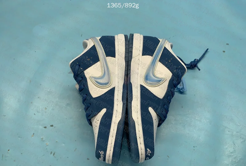 NIKE DUNK BORN RISED 6