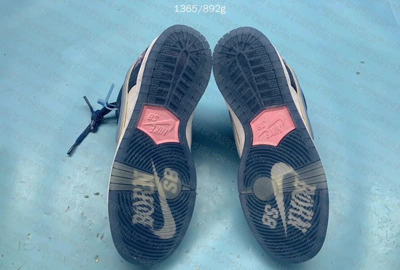 NIKE DUNK BORN RISED 8