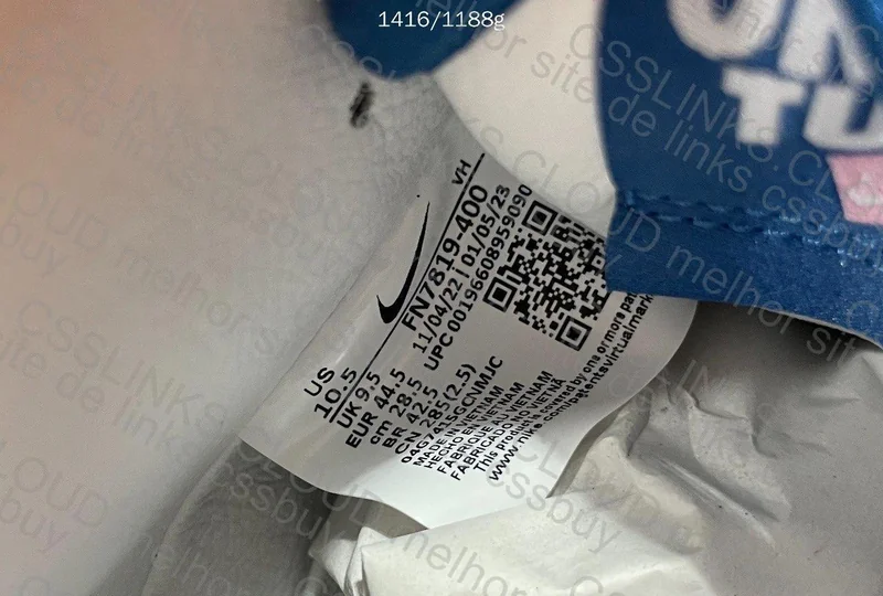 Nike Dunk Born x Raised 5