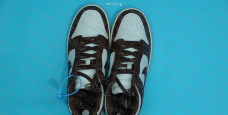 Nike Dunk Cacao Wow