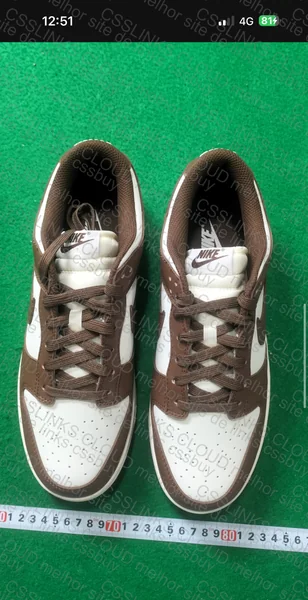Nike Dunk Chocolate