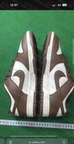 Nike Dunk Chocolate 2