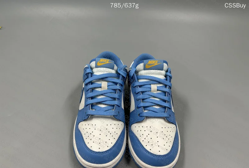 Nike Dunk Coast - 99Y (For Women)