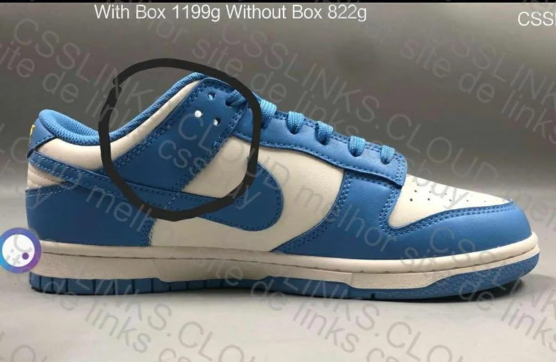 Nike Dunk Coast (VT) 3