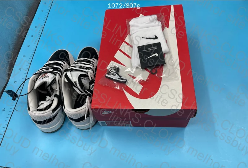Nike Dunk Double Swoosh 3
