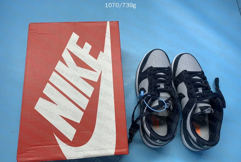Nike Dunk Georgetown 2