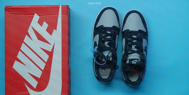 Nike Dunk Georgetown