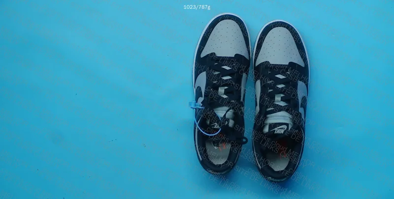 Nike Dunk Georgetown 3