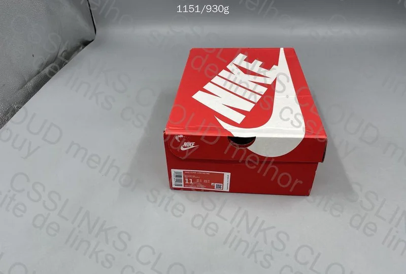 NIKE - DUNK GRAY 11