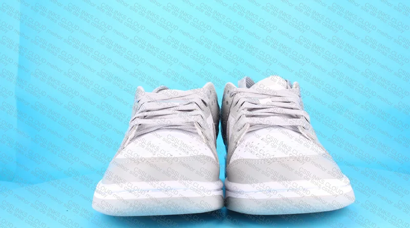 Nike Dunk Grey Fog 2