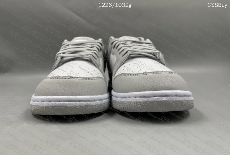 Nike Dunk Grey Fog 2