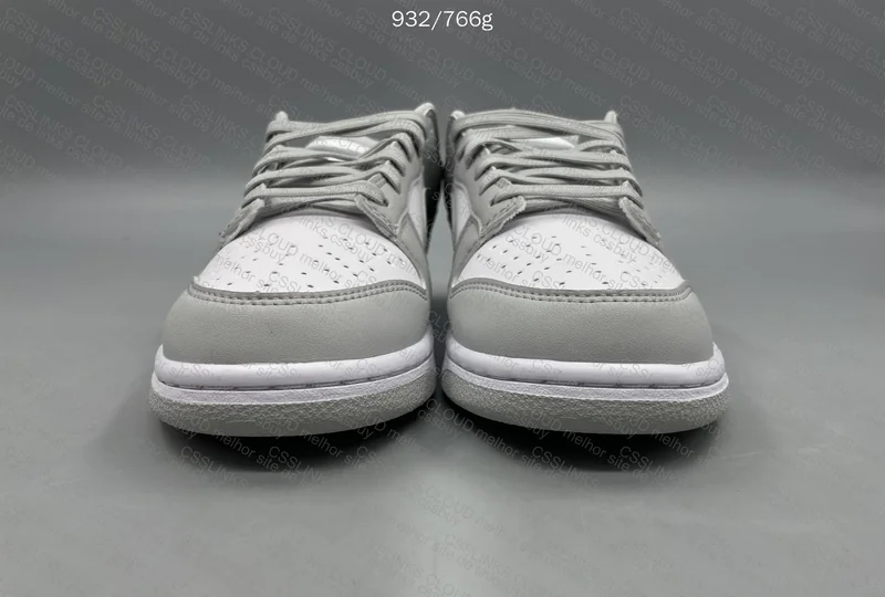 Nike Dunk Grey Fog 2