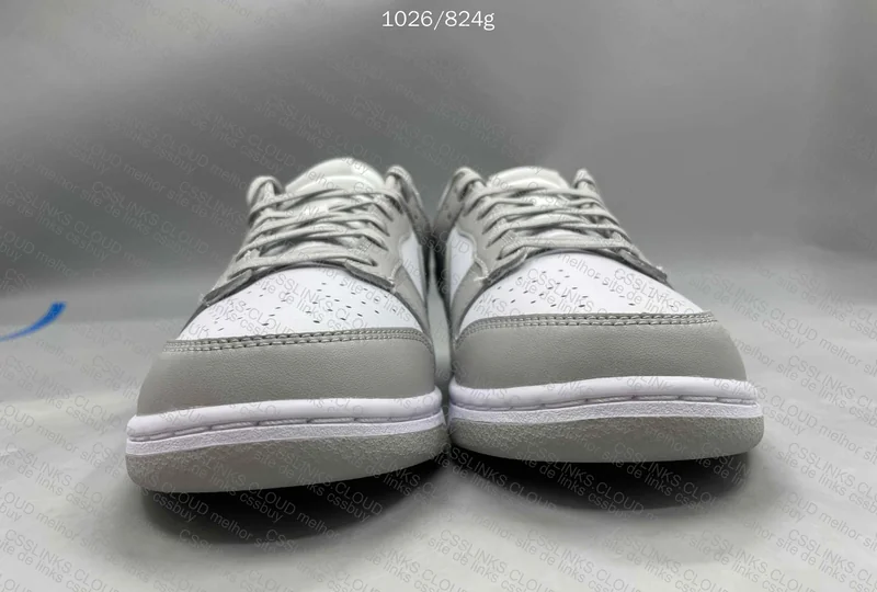 Nike Dunk Grey Fog 2