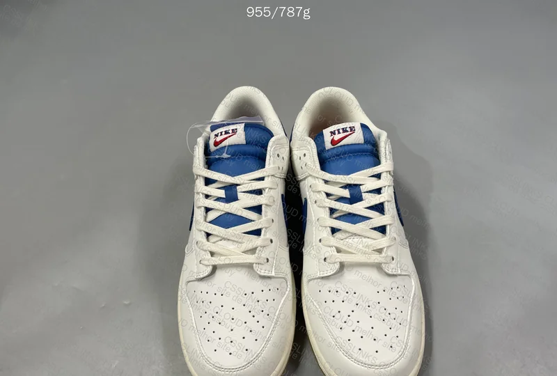 Nike Dunk H Factory 2