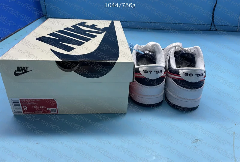 Nike dunk Houston