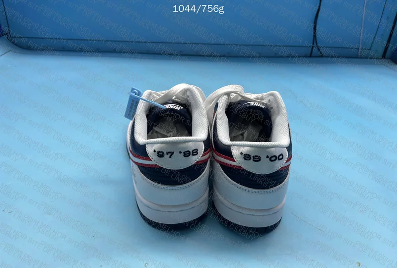Nike dunk Houston 3