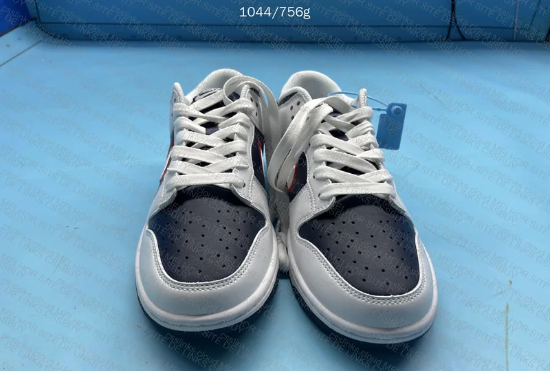 Nike dunk Houston 4