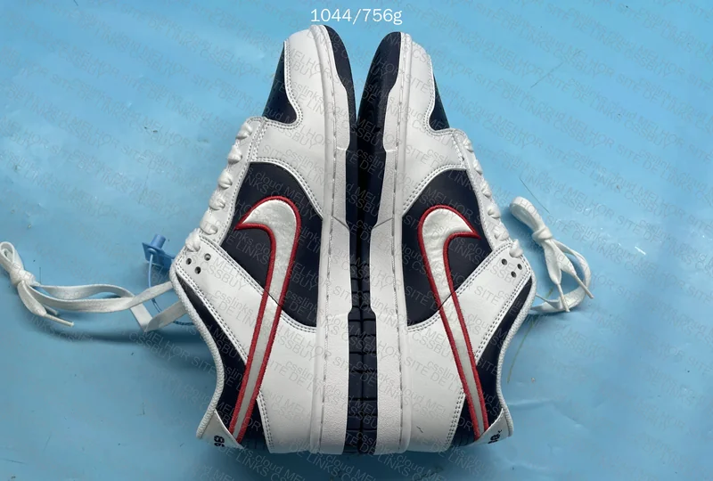 Nike dunk Houston 5
