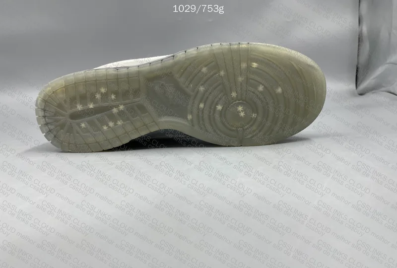 Nike Dunk Ice 6