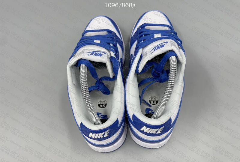 Nike Dunk Kentucky