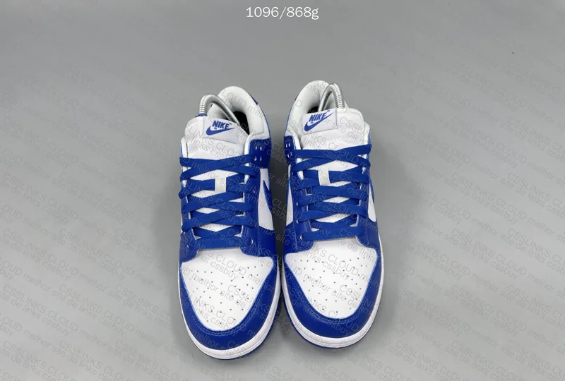 Nike Dunk Kentucky 2