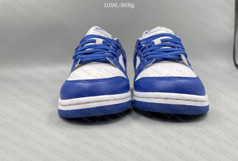 Nike Dunk Kentucky 4
