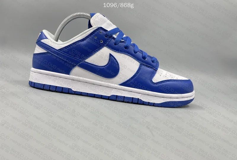 Nike Dunk Kentucky 5