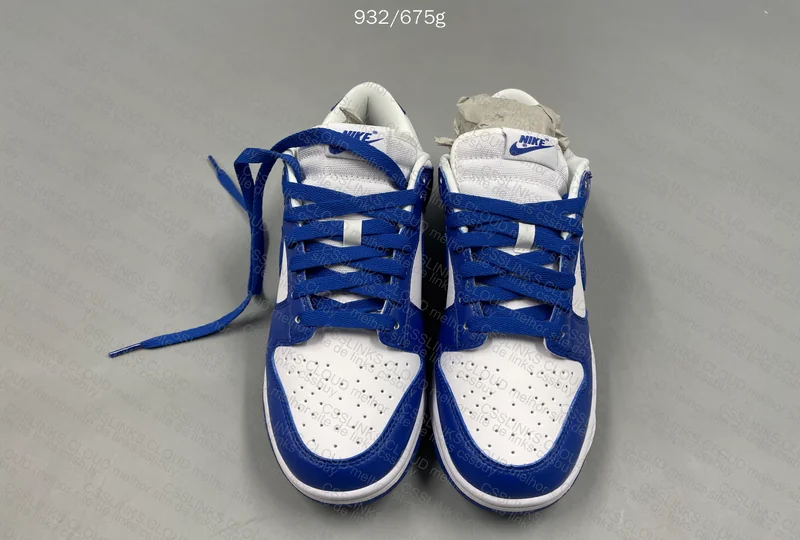 Nike dunk Kentucky