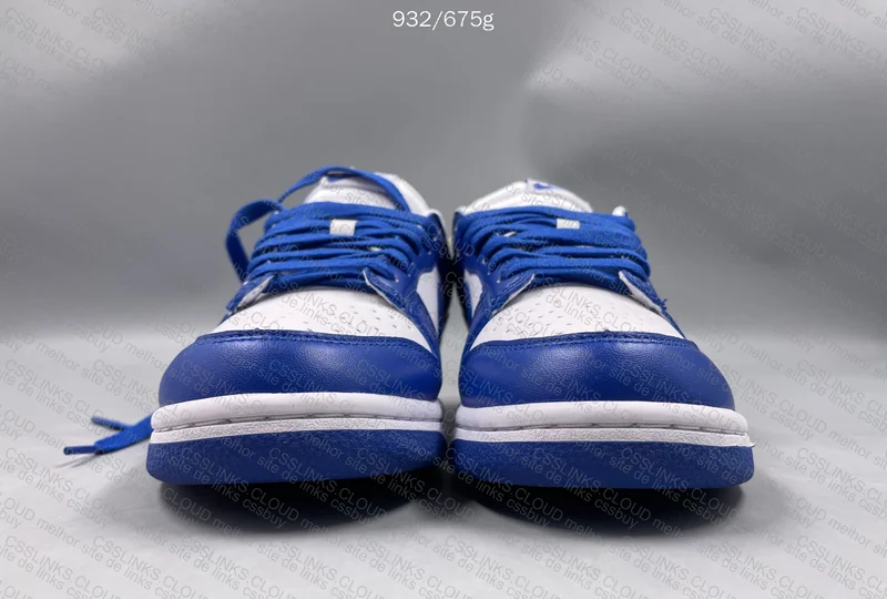 Nike dunk Kentucky 2