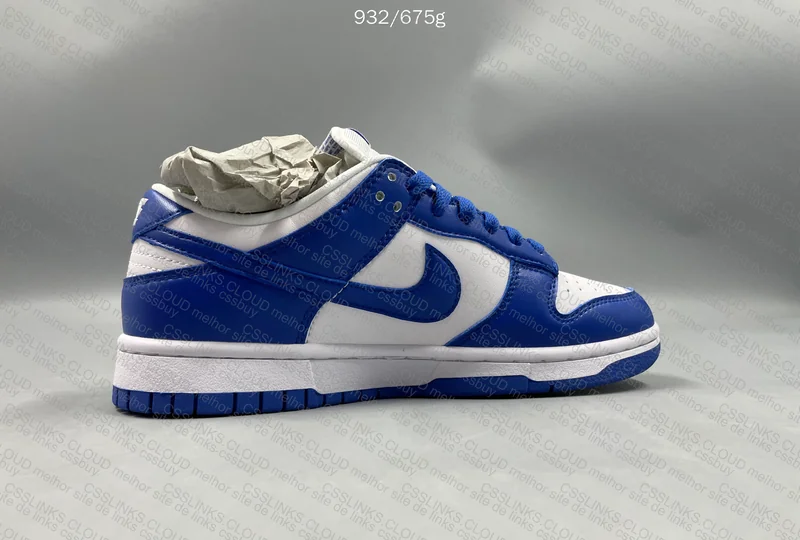 Nike dunk Kentucky 6