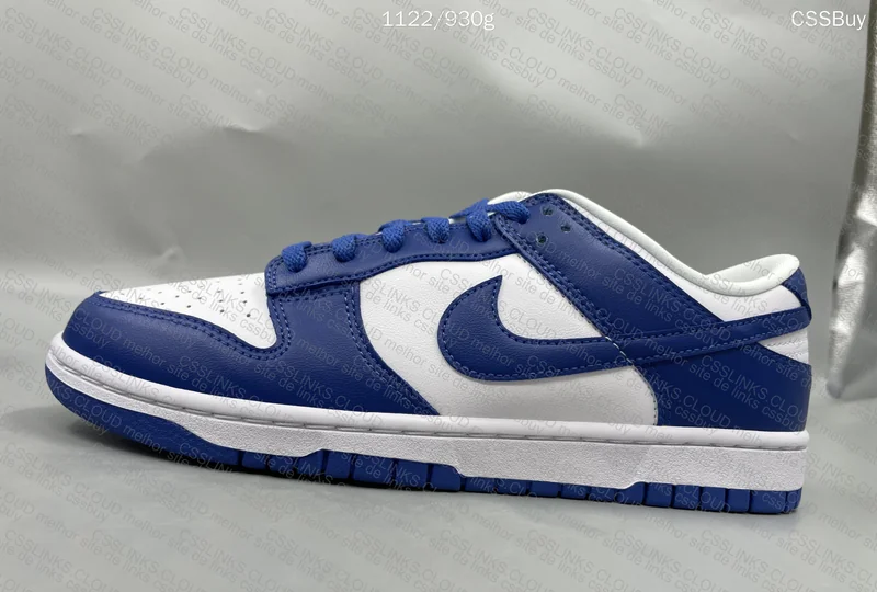 nike dunk kentucky. GL? 5