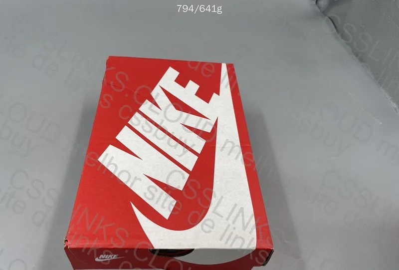 Nike Dunk Light Bone VT 6