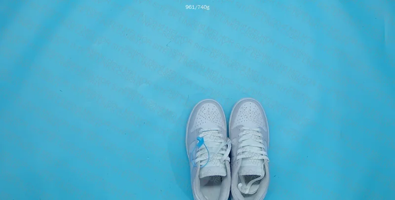 Nike Dunk Light Violet 2