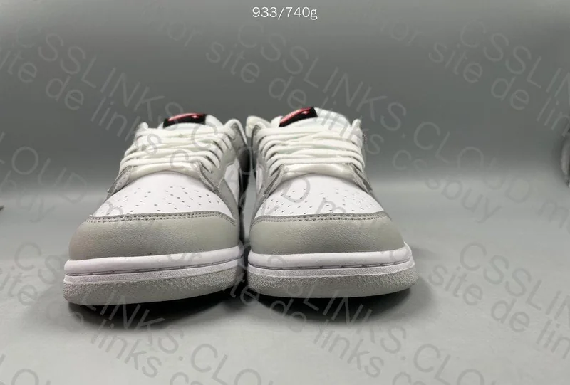 Nike Dunk Lottery 5