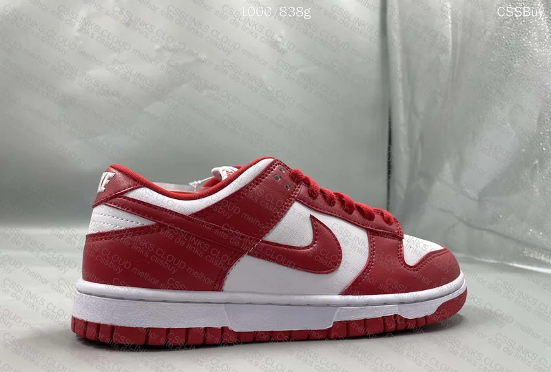 Nike Dunk Low 5