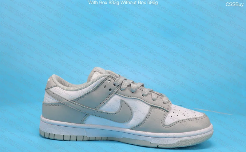 Nike Dunk Low 5
