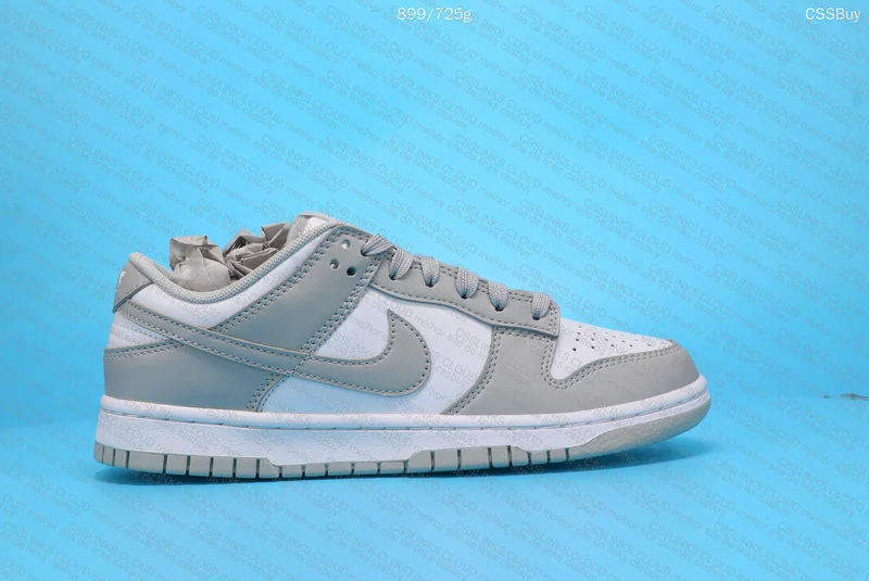 NIKE DUNK LOW 5