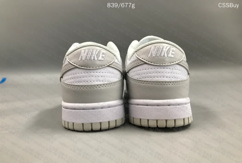 Nike Dunk Low 5