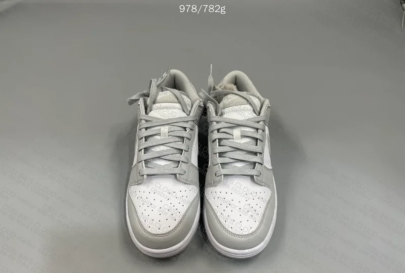 Nike Dunk Low 5