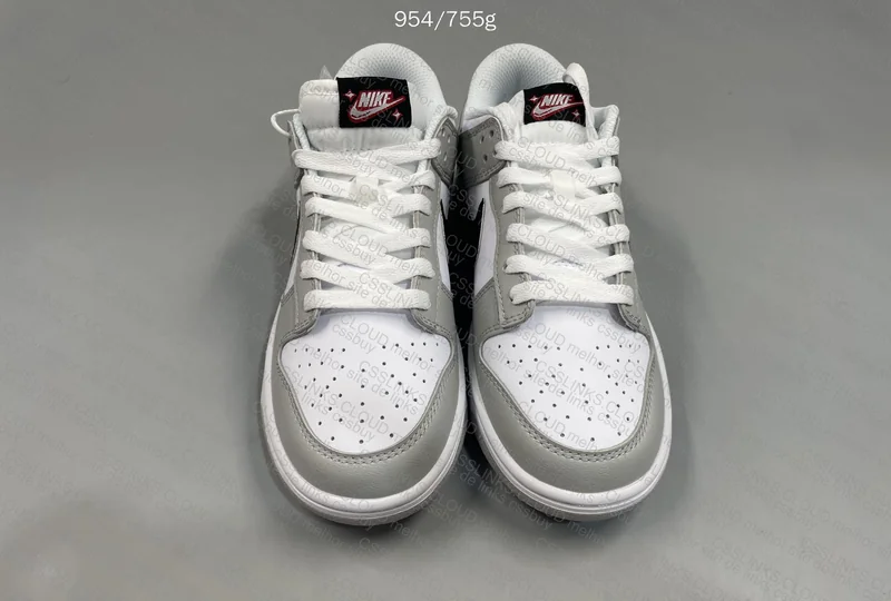 Nike dunk low 5