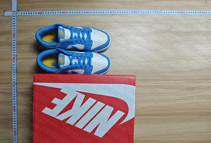 nike dunk low 2
