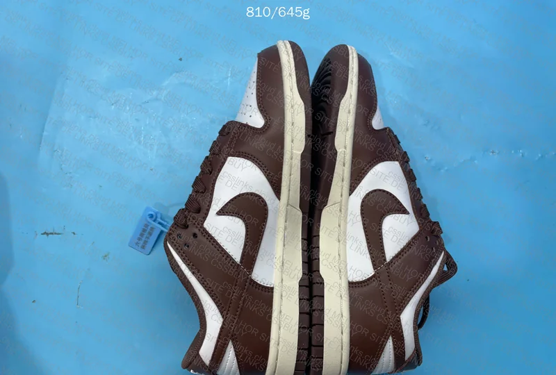 Nike Dunk Low 10