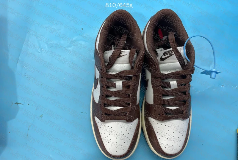 Nike Dunk Low 5
