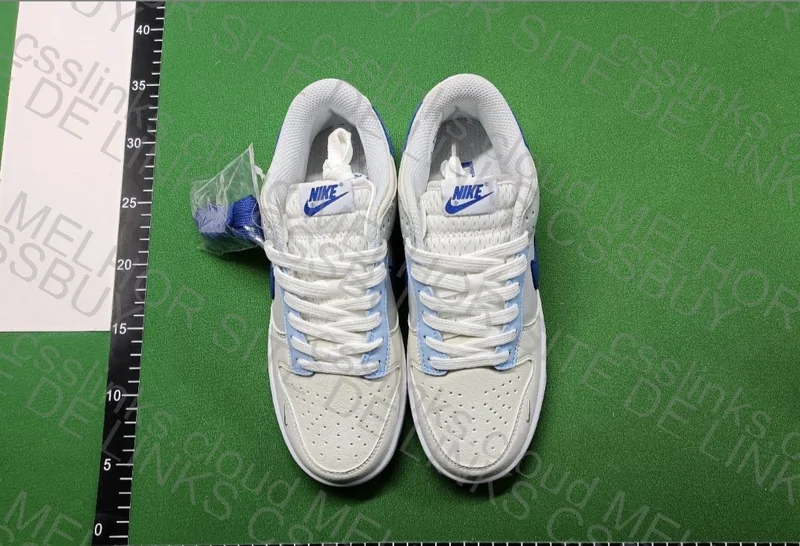 Nike Dunk Low 2