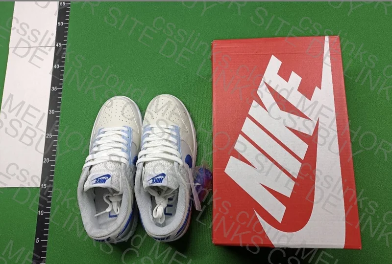 Nike Dunk Low 3