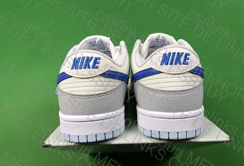 Nike Dunk Low 5