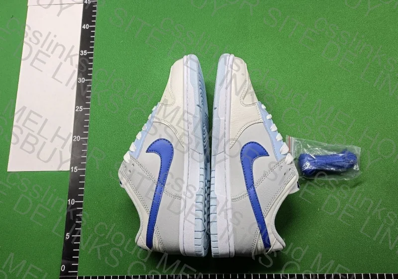 Nike Dunk Low 6
