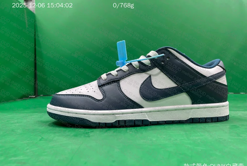 Nike dunk low 10